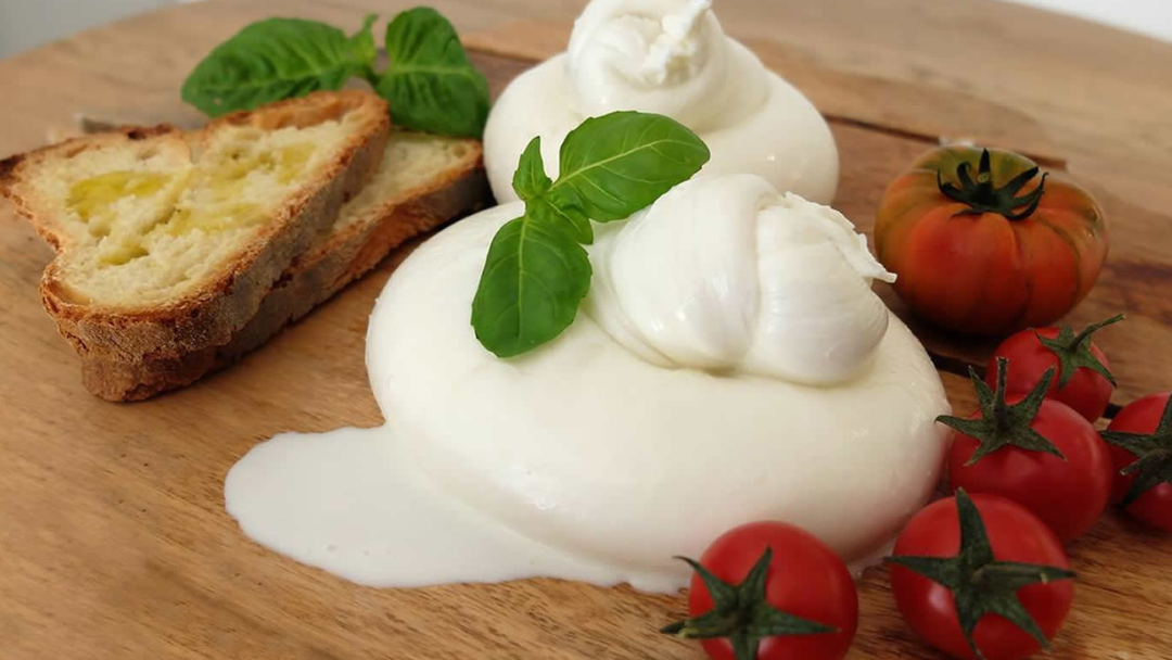 stella di cecca so food